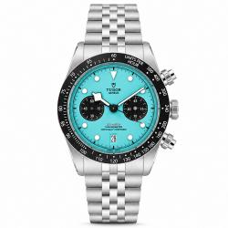 Tudor Flamingo 41MM M79360N-0024 Stainless Steel Watch